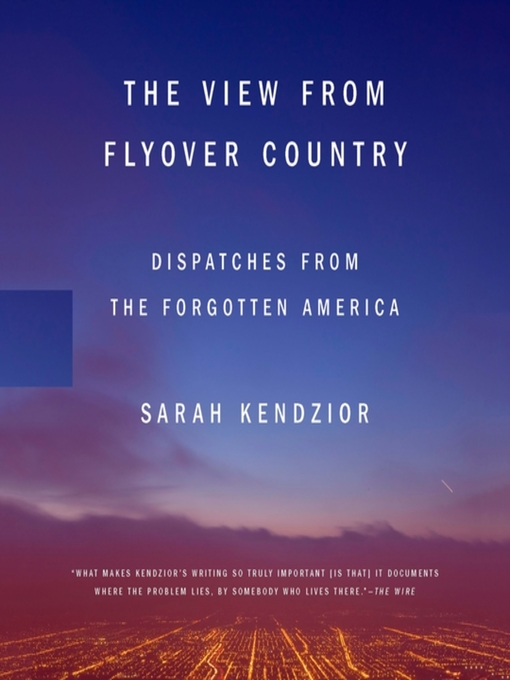 Title details for The View from Flyover Country by Sarah Kendzior - Wait list